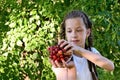 pretty girl with pigtails in a white T-shirt is standing in the garden and holding a glass vase with red, ripe cherries in her Royalty Free Stock Photo