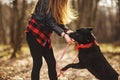 Pretty girl playing and having fun with her pet by name Brovko Vivchar Royalty Free Stock Photo