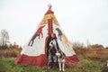 Cute adult girl owner with her malamute gray big dog in the Injun camping