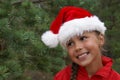 Pretty girl in Santa's hat