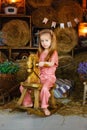 A pretty girl sits on a wooden rocking horse in the hay among baskets of lavender flowers. The blonde girl is dressed in a pink