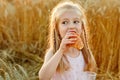 A pretty girl is sitting in a wheat field with bread. A child against the background of rye ears eats a bagel at sunset Royalty Free Stock Photo