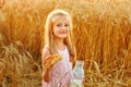 A pretty girl is sitting in a wheat field with bread and milk. A child against the background of rye ears eats a bagel at sunset. Royalty Free Stock Photo