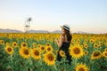 Pretty girl standing in background of sunflower field during sunset light. Royalty Free Stock Photo