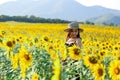 Pretty girl standing in background of sunflower field during sunset light. Royalty Free Stock Photo