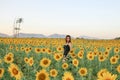 Pretty girl standing in background of sunflower field during sunset light. Royalty Free Stock Photo