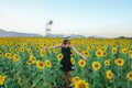 Pretty girl standing in background of sunflower field during sunset light. Royalty Free Stock Photo