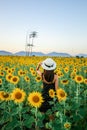 Pretty girl standing in background of sunflower field during sunset light. Royalty Free Stock Photo