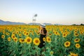 Pretty girl standing in background of sunflower field during sunset light. Royalty Free Stock Photo