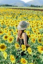 Pretty girl standing in background of sunflower field during sunset light. Royalty Free Stock Photo