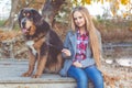 Pretty girl with tibetan mastiff on the nature Royalty Free Stock Photo