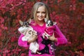 Pretty girl with two chihuahua dogs on the nature Royalty Free Stock Photo