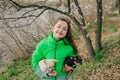 Pretty girl with two chihuahua dogs on the nature Royalty Free Stock Photo