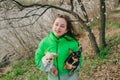 Pretty girl with two chihuahua dogs on the nature Royalty Free Stock Photo