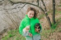 Pretty girl with two chihuahua dogs on the nature Royalty Free Stock Photo