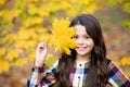 Pretty girl with yellow maple leaves, autumn nature Royalty Free Stock Photo