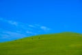Meadow with beautiful blue sky background with copy space Royalty Free Stock Photo