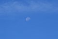 Pretty Half Moon In Full Light Of The Day In The Countryside Of Galicia. Nature, Landscapes, Botany, Travel. August 2, 2015.