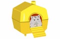Pretty hamster at the yellow home.Vector illustration