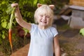 Pretty happy blond toddler girl wearing cat`s headband picking fresh carrot Royalty Free Stock Photo