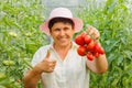 pretty happy mature woman with thumb up holds tomatoes in her hand and showing to the camera Royalty Free Stock Photo