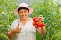 pretty happy mature woman with thumb up holds tomatoes in her hand and showing to the camera Royalty Free Stock Photo
