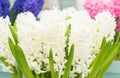 Pretty hyacinth flowers composition, cheerful spring bouquet made by florist