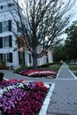 Right before sunset, with brick walkways and flower gardens lining the main streets, Manchester, Vermont, Summer, 2022.