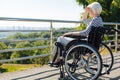 Pretty inspired senior woman sitting in a wheelchair Royalty Free Stock Photo