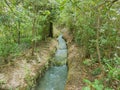 Pretty irrigation canal of the Baux valley at Fontvieille in the Alpilles in Provence