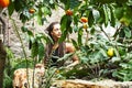 Pretty islam woman in orange grove smiling, real muslim girl cheerful , nature organic people concept