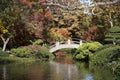 Pretty Japanese garden autumn Royalty Free Stock Photo