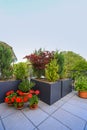 Pretty landscaping on a patio or terrace