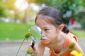 Pretty little Asian child girl with magnifying glass looks at flower in summer park Royalty Free Stock Photo