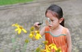 Pretty little Asian child girl with magnifying glass looks at flower in summer park Royalty Free Stock Photo