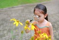 Pretty little Asian child girl with magnifying glass looks at flower in summer park Royalty Free Stock Photo