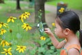 Pretty little Asian child girl with magnifying glass looks at flower in summer park Royalty Free Stock Photo