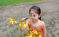 Pretty little Asian child girl with magnifying glass looks at flower in summer park Royalty Free Stock Photo