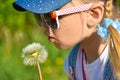 A girl in sunglasses in the field is blowing strongly at a flower dandelion, close-up, summer Royalty Free Stock Photo