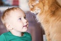 Pretty little caucasian baby boy with blonde hair, bright blue eyes and red cat look at each other Royalty Free Stock Photo