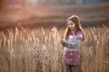 Pretty little girl in an autumn field Royalty Free Stock Photo