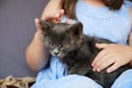 Pretty little girl caress the domestic animal