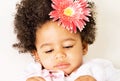 Pretty little girl with a flower Royalty Free Stock Photo