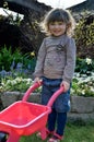 pretty little girl gardening with her plastic wheelbarrow