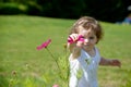 A pretty little girl playing with flowers Royalty Free Stock Photo