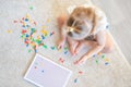 Pretty little girl playing with mushroom nail mosaic at home. Hobby and leisure time Royalty Free Stock Photo