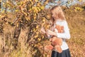 Pretty little girl with teddy bear holds dry leaf on field on autumn day. Royalty Free Stock Photo