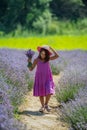 Pretty little girl walking in the flowering lavender field and gathering flowers Royalty Free Stock Photo