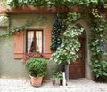 Typical Medieval Home Front with arched door, lace curtains and lots of ivy on a cobblestone street