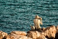 A really pretty mermaid view in Taranto Royalty Free Stock Photo